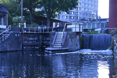 DSC_1726 (Large).JPG